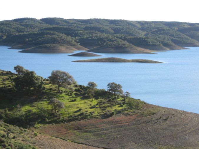 13691084_1743957159193624_2470266899432875552_o