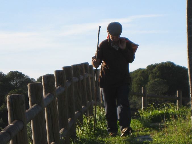 13701113_1743958422526831_2365850996300735828_o